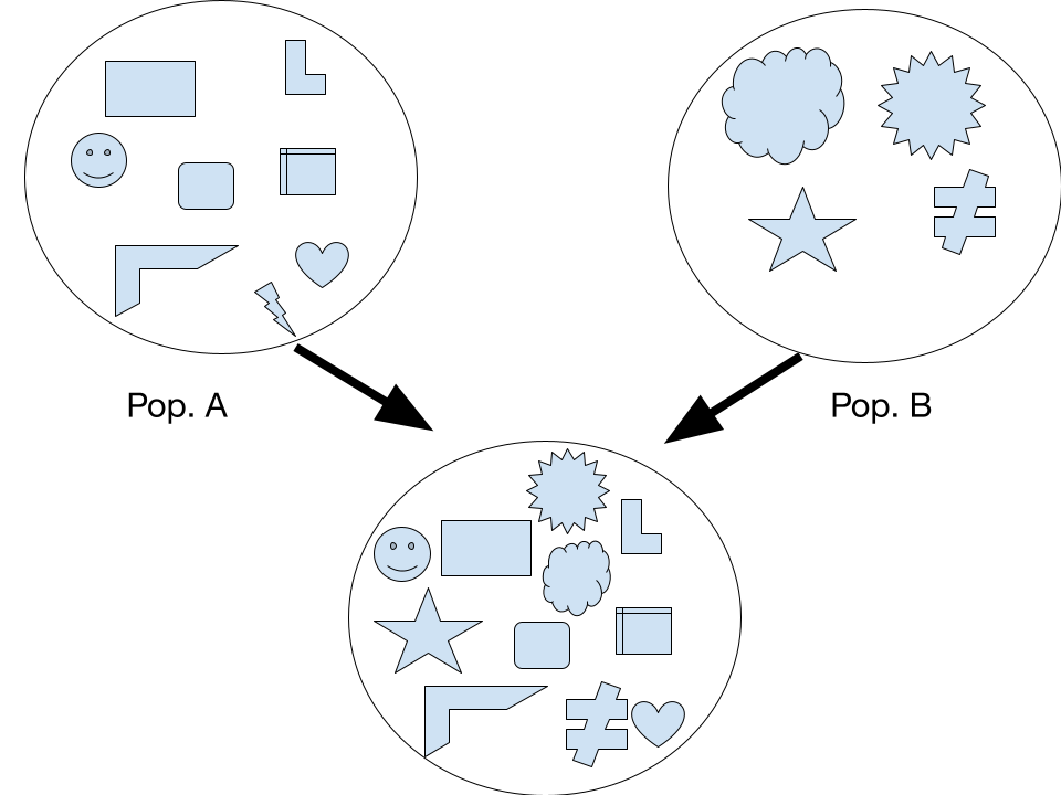 Diagram showing gene flow